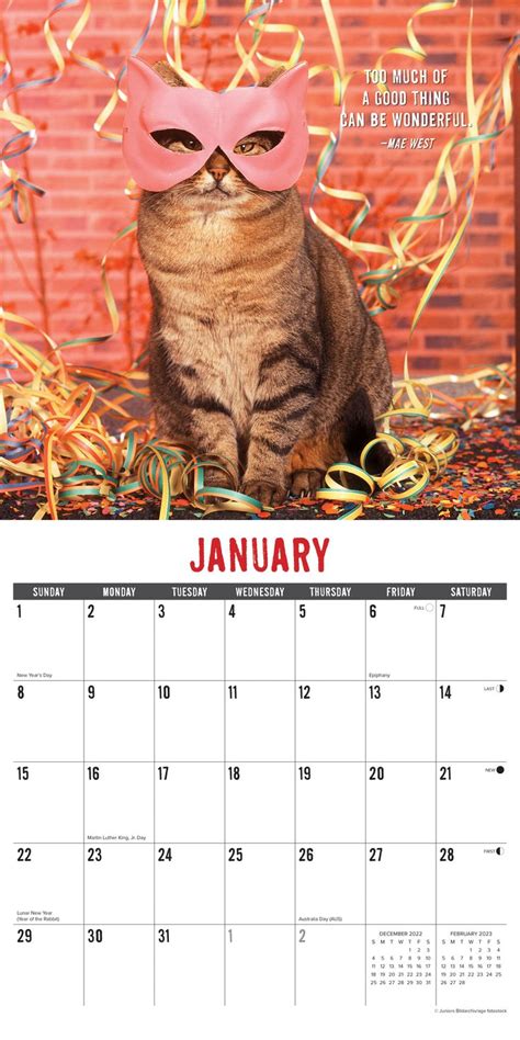2023 Bad Kitties Wall Calendar Michaels Wall Calendar Bad Cats
