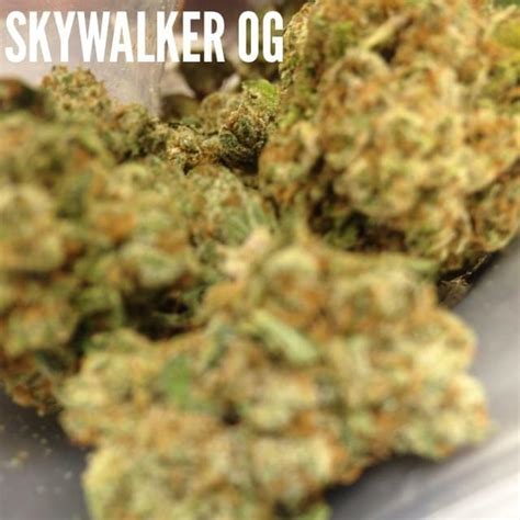 Skywalker Og Strain Information And Reviews Wheres Weed