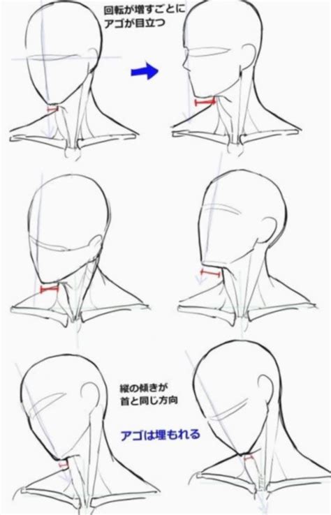 8 Anime Face Sketch Anatomy Face Drawing Reference Anime Drawings