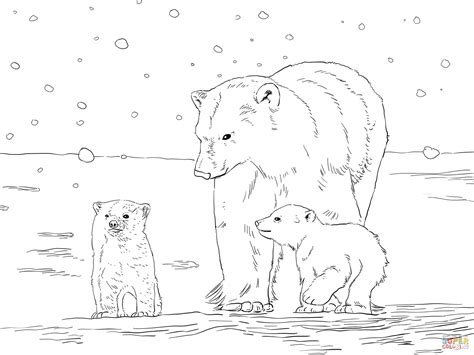 23 Polar Bear Coloring Pages Momjunction Inactive Zone
