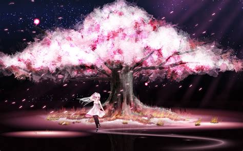 Cherry Blossom Anime Cherry Blossom Wallpaper Anime Cherry Blossom