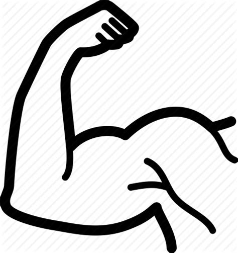 Bicep Clipart Healthy Bicep Healthy Transparent Free For Download On