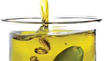 Kako maslinovo ulje utiče na naš organizam Kakopedija com