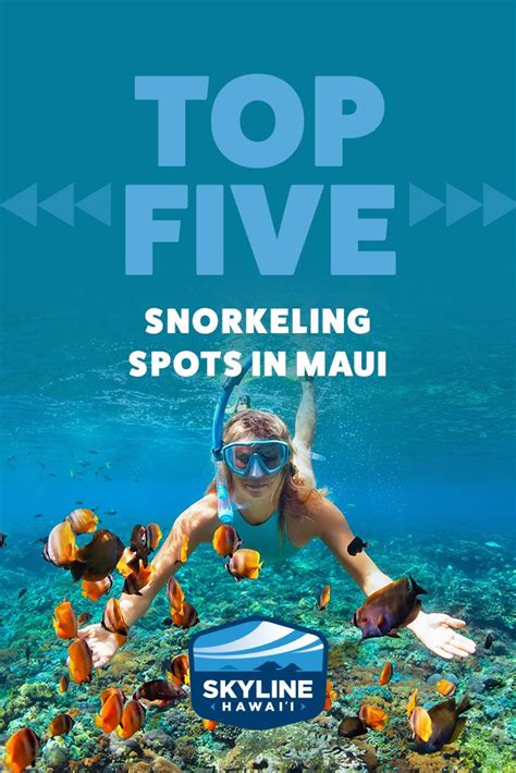 Snorkeling Has Been A Popular Hobby For Years And Has Become A Must Do