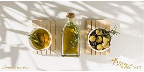 aceite arbequina características y principales usos olivadelsur
