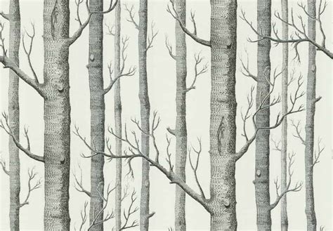 Cole And Sons Woods Wallpaper An Enduring Trend Home Glow Design