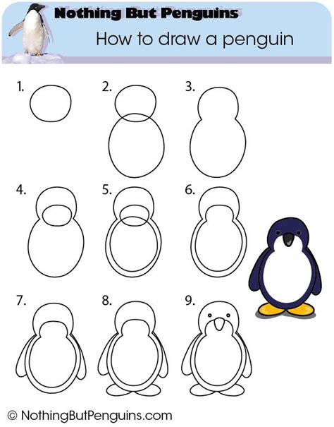 How To Draw A Penguin Nothing But Penguins