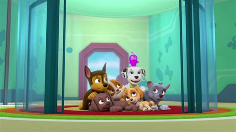 Watch Paw Patrol Season Episode Pups Get Growing Pups Save A