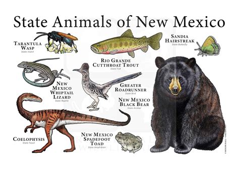 New Mexico State Animals Poster Print Etsy