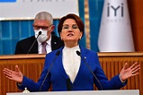 Turkey politics: What is Meral Akşener planning? | Column