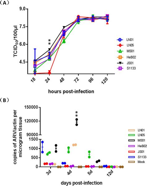 Viral Replication Of Arv Isolates And S1133 In Vitro And In Vivo The