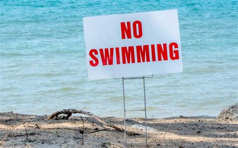 11 beaches across michigan have bacteria contamination advisories closures fix mi state
