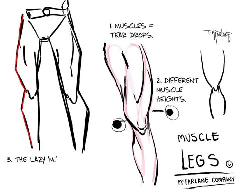 Todds Tips For Drawing Muscular Legs