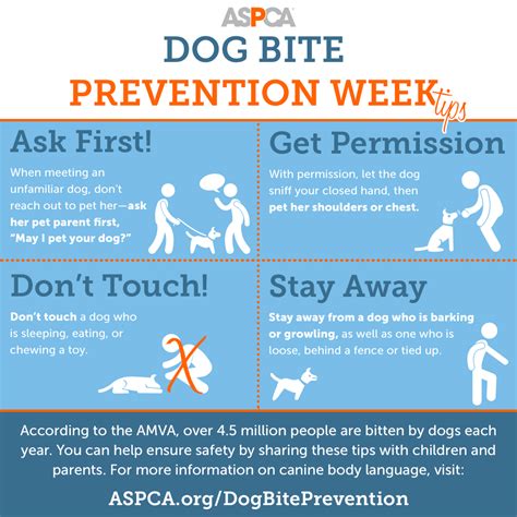 Its Dog Bite Prevention Week Read Our Safety Tips Aspca