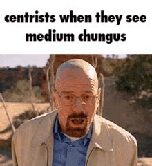 Centrists Reddit Centrists Reddit Big Chungus Descubre Y