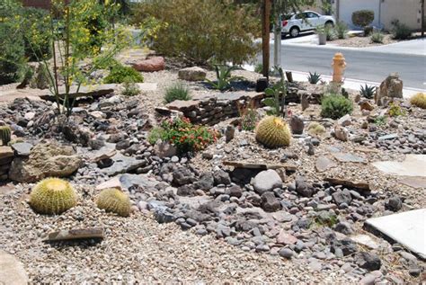Gardening For Arid Landscapes The Beauty Of Xeriscaping