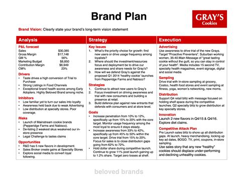 Brand Plan Learn How To Write A Strategic Brand Plan
