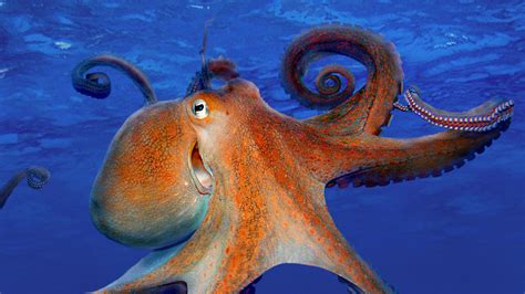 Smiling Octopus Bing Wallpaper Download