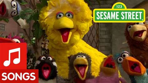 Sesame Street Big Bird Sings Thats Cooperation Youtube