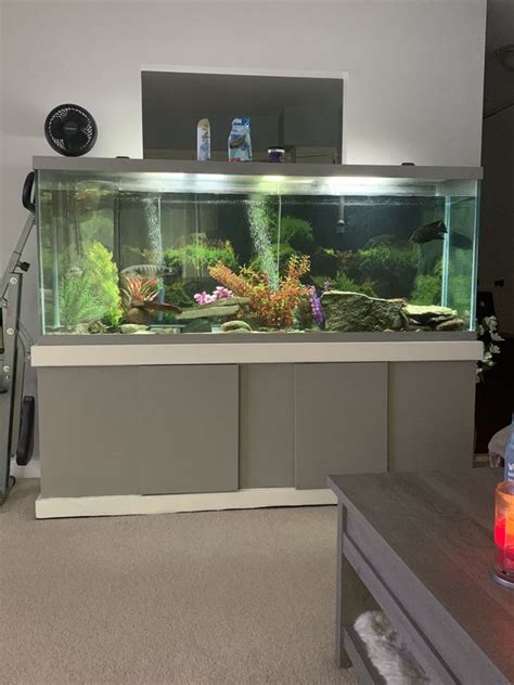 150 Gallon Fresh Water Fish Tank For Sale In Downers Grove Il Offerup