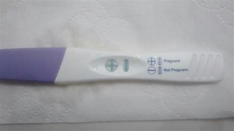 Cyst On Ovary Cause Positive Pregnancy Test Pregnancywalls