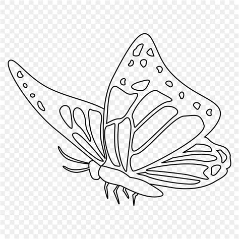 One Line Art Drawing Vector Minimalist Design Butterfly Insect Line Art