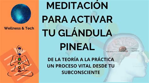 Meditacion Para Activar La Glandula Pineal Activacion Del Tercer Ojo