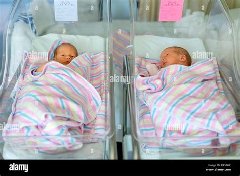 Newborn Twins Boy And Girl In Hospital Under Blankets Stock Photo Alamy
