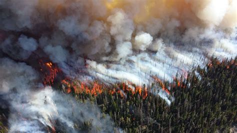 Fires In Siberia And In Alaska Threaten To Melt The Ice Of The Arctic