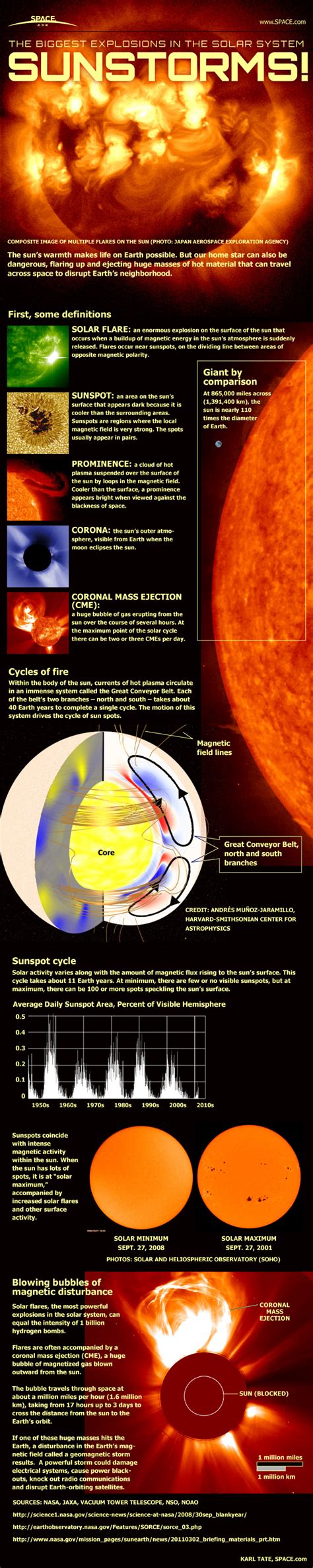 Anatomy Of Sun Storms And Solar Flares Infographic Space