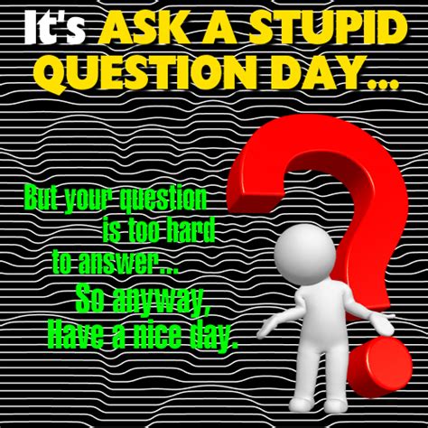 Its Ask A Stupid Question Day DesiComments Com