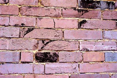 Brick Wall Free Stock Photo Public Domain Pictures