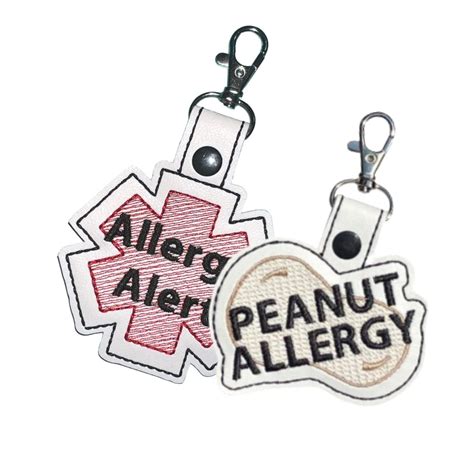 Amazon Com Peanut Allergy Small Allergy Alert Gift Set Back Pack Key Chain Bundle Lunch Box