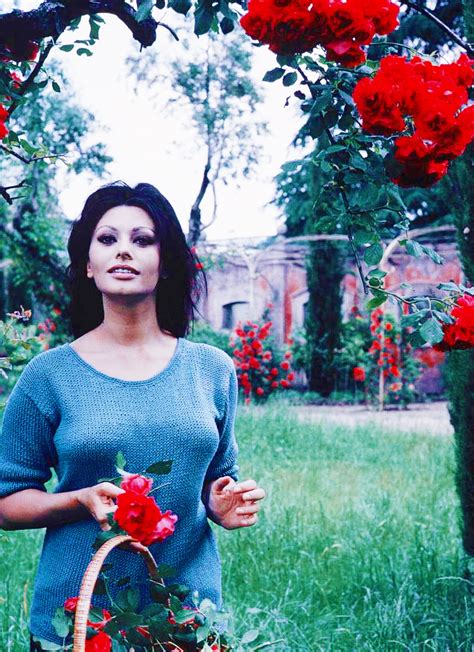 Sophia Loren