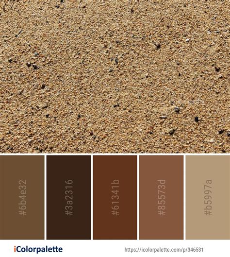 16 Sand Color Palette Namrahelliana