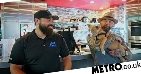 Watch Dave Bautista Offers 5k Reward To Find Puppy Abuser Metro Video