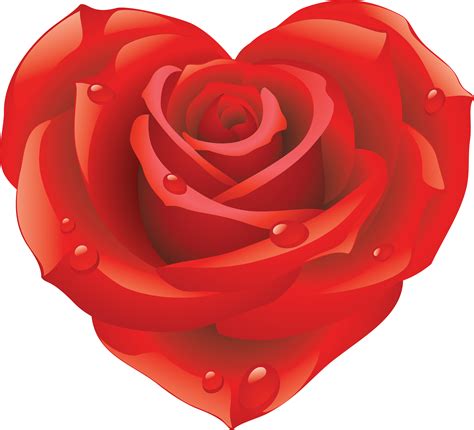 By banyak daki mei 21, 2021. Rose png image, free picture download