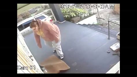 Liveleak Large Porch Pirate Caught On Camera Youtube