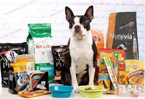 To see if a vegetarian diet is an optimal choice for your boston terrier you should check with your pet's vet first. 5 Best Dog Foods for Boston Terriers (Reviews Updated 2020 ...