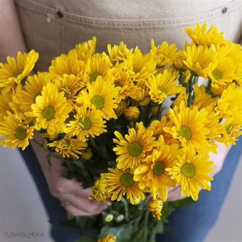 Yellows — Flower Moxie Online Wedding Flowers Yellow Wedding Flowers