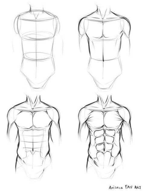 Male Body Drawing Human Anatomy Drawing Male Body Painting Drawing