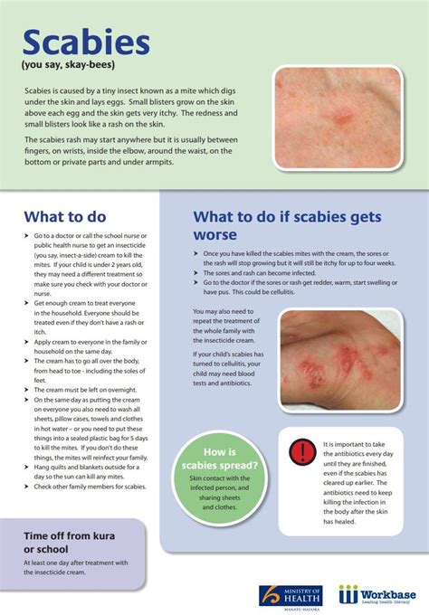 Scabies Healthify