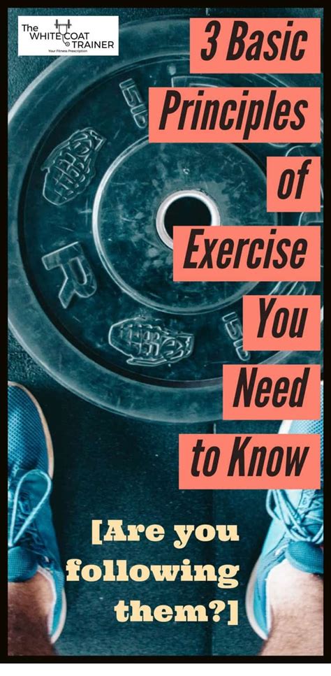 3 Basic Principles Of Exercise You Need To Know Before Working Out