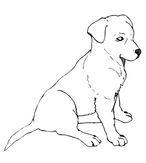 Yellow Lab Dogs Coloring Pages