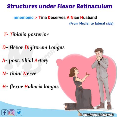 Structures Under Flexor Retinaculum Mnemonic Medicolearning Hot Sex Picture