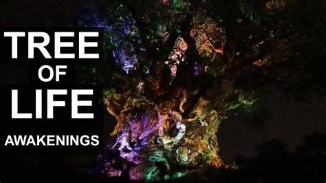 Tree Of Life At Disneys Animal Kingdom Awakenings Youtube