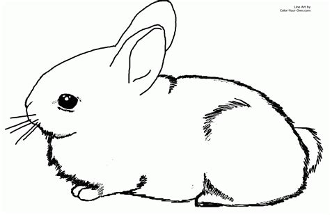 Top 10 rabbit coloring pages for preschoolers: Peter Cottontail Printable Coloring Pages - Coloring Home