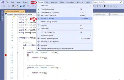 Debugging Asp Net Core Application Hosted In Iis Hot Sex Picture My Xxx Hot Girl
