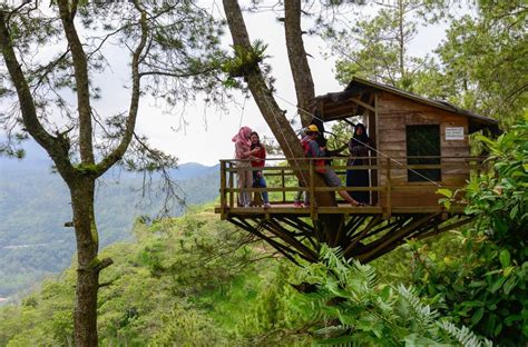 visitbali 3 tree houses in karangasem for your adventurous soul