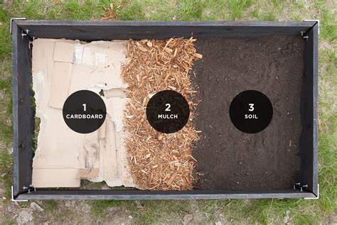 How To Prepare Garden Soil For Planting With Images Garden Bed